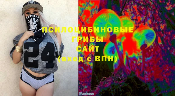 прущие крисы Елабуга