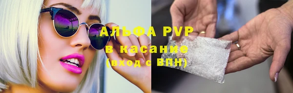 шишки Дмитров