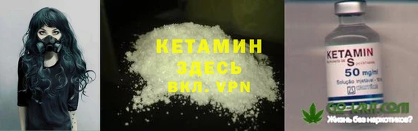 шишки Дмитров