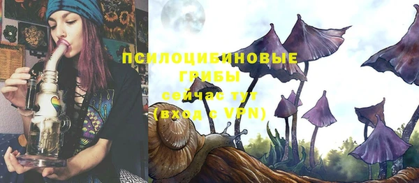 прущие крисы Елабуга
