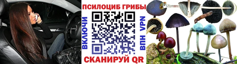 Псилоцибиновые грибы прущие грибы  Купить где  Камызяк 